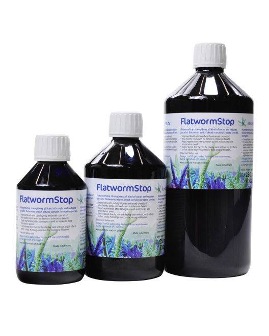 Flatworm Stop