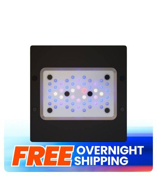 Radion XR15 G6 Blue LED Light Fixture