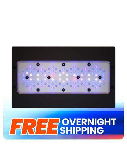 Radion XR30 G6 Blue LED Light Fixture