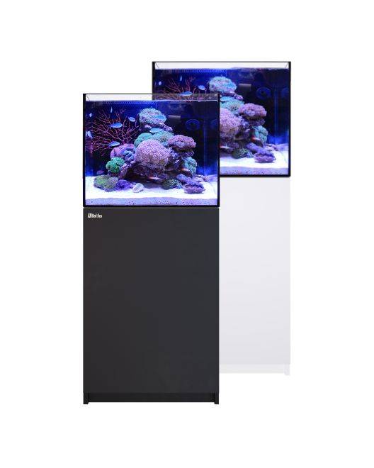 REEFER 170 G3 Aquarium System (33 Gallons)