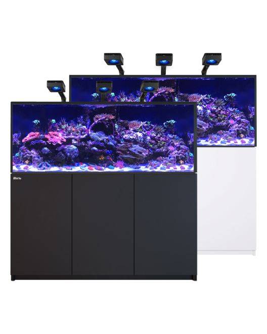 REEFER Deluxe 625 G3 Aquarium System (132 Gallons) (incl. 3 x ReefLED 115)
