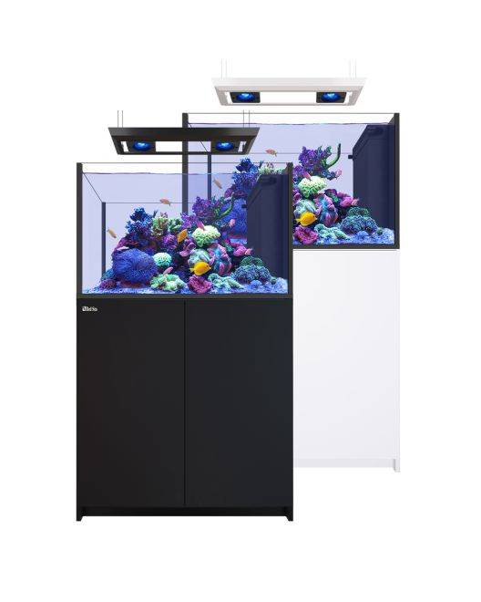 REEFER Deluxe Peninsula 350 G3 Aquarium System (73 Gallons) (incl. 2 x ReefLED 115)