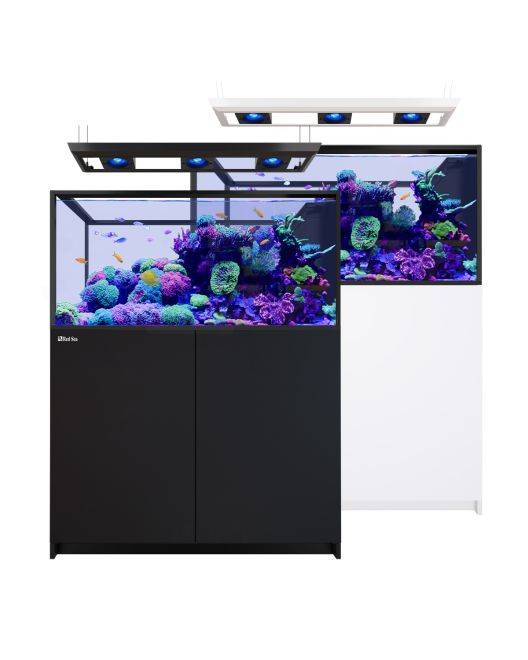 REEFER Deluxe Peninsula 500 G3 Aquarium System (109 Gallons) (incl. 3 x ReefLED 115)