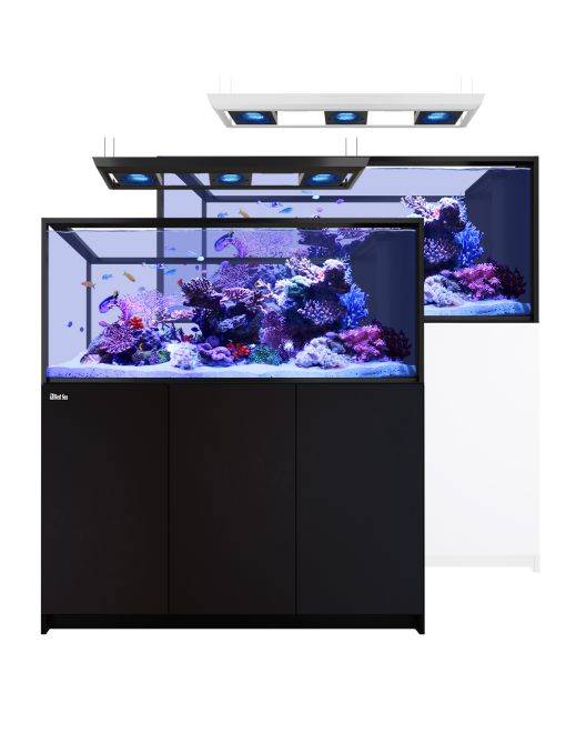 REEFER Deluxe Peninsula S-700 G3 Aquarium System (150 Gallons) (incl. 3 x ReefLED 170)