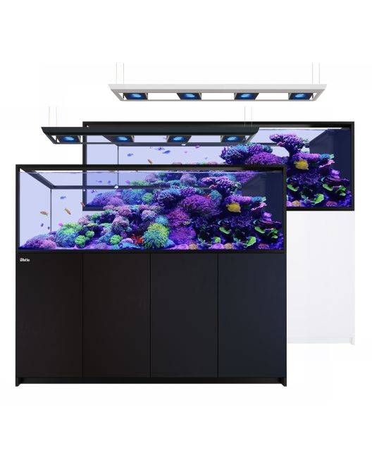 REEFER Deluxe Peninsula S-950 G3 Aquarium System (200 Gallons) (incl. 4 x ReefLED 170)