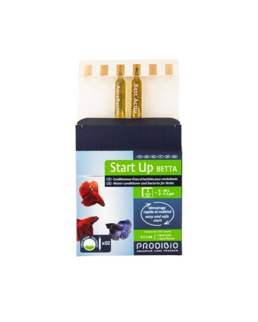 Start Up Betta
