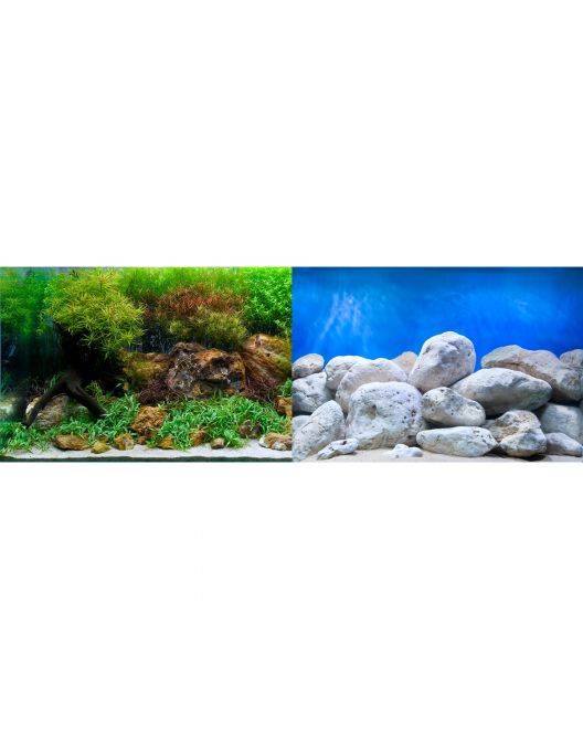 Aqua Garden/Bright Stone Background (12