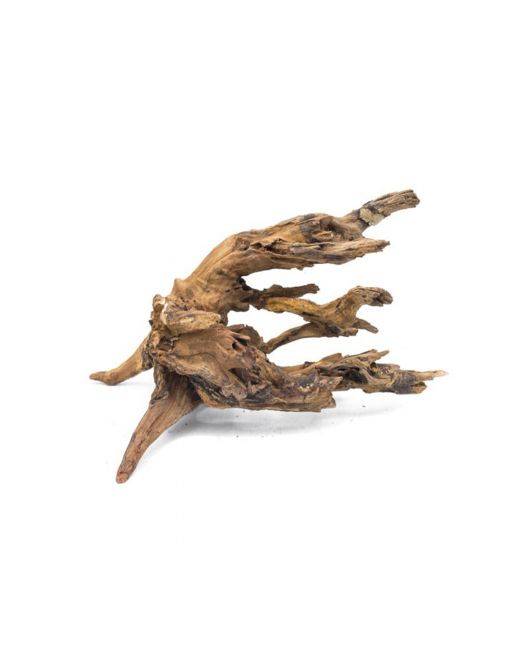 Pacific Driftwood