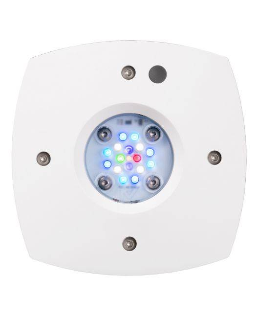 Prime 16 LED Freshwater Light - White Body