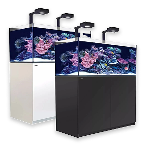 Aquariums