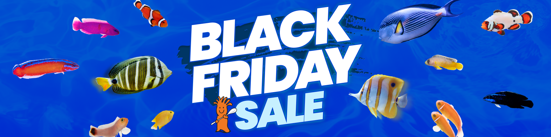 Black Friday Deals