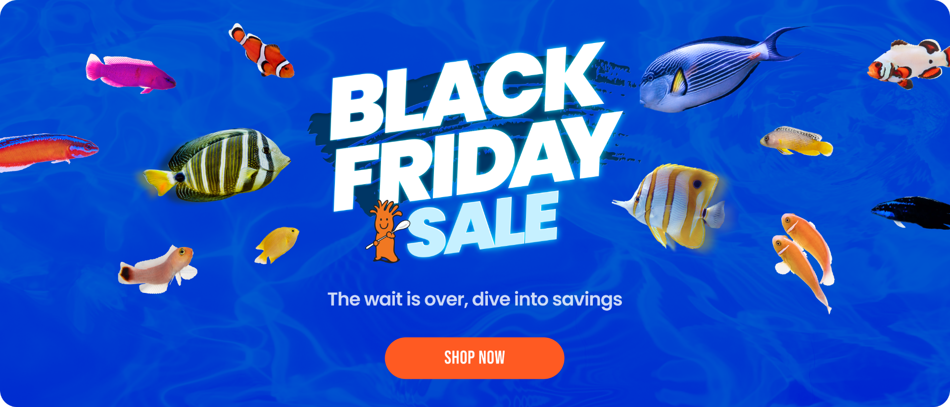 Black Friday 2025