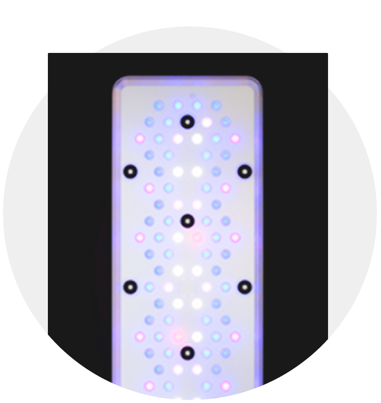 Lighting