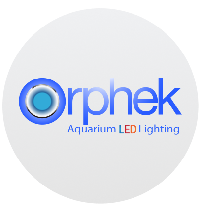 Save on ORPHEK LIMITED