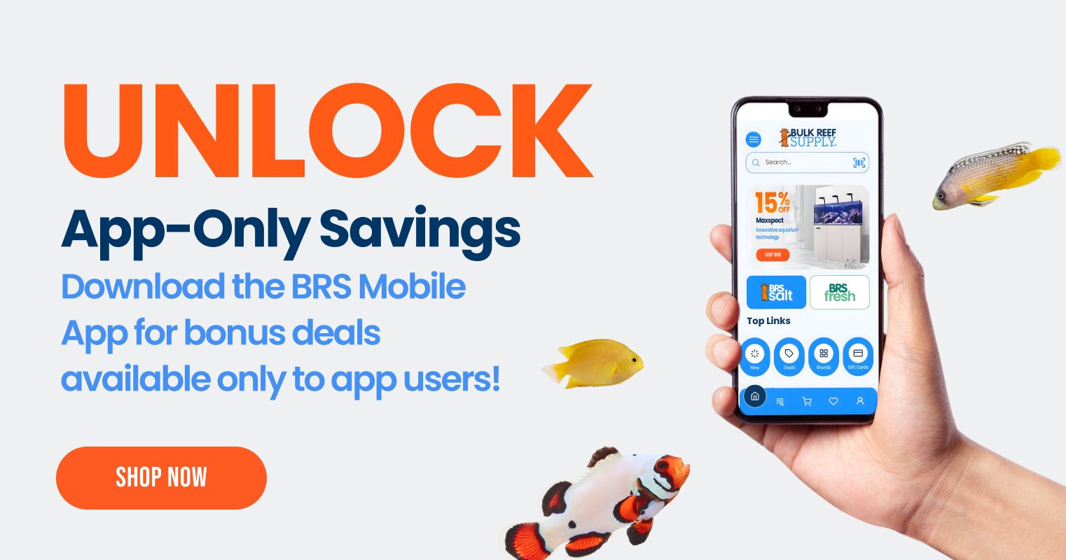 Download Mobile App