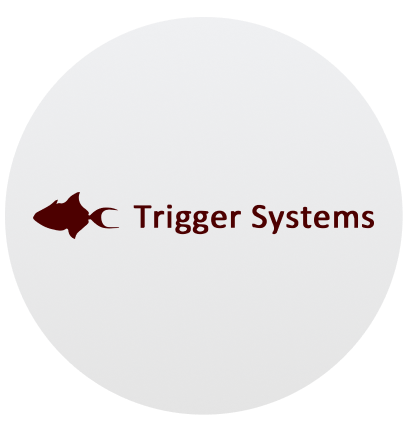 Save on Trigger Systems